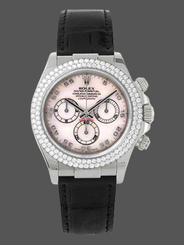 13F7EDBD-F473-B519-7F7B-58723EF7CA26.jpg
