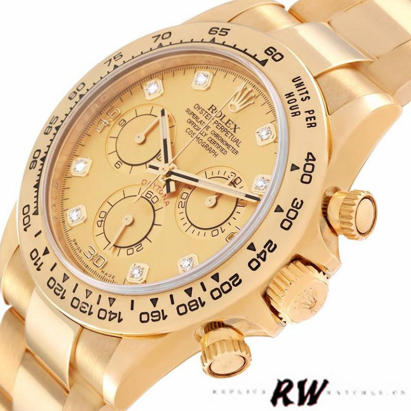 9D12E5F7-B503-031A-69A0-85FC20CD0AEF.jpg